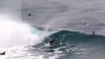 随波逐流,探寻时代浪潮中的个人抉择与命运轨迹