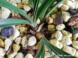 当富贵来敲门,揭秘财富背后的故事