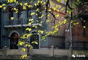 庭上暖阳,描绘温馨法治画卷