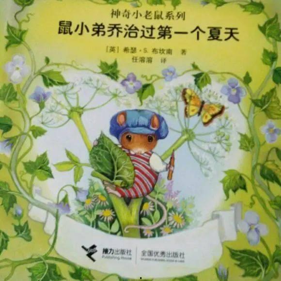 觉夏知春秋,探寻四季变换的自然奥秘