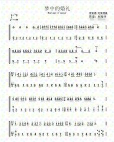 梦中的简,探寻梦境中的诗意世界