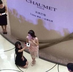 明星助理,幕后英雄的职场传奇